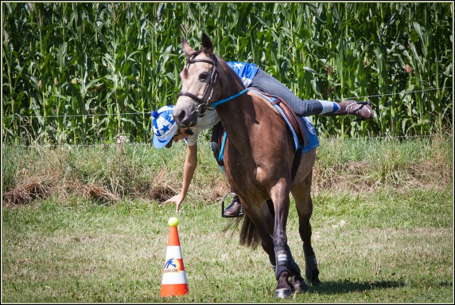 Mounted Games 069